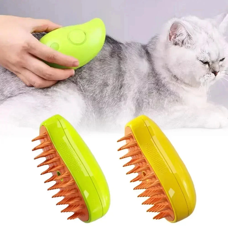 Brush pet